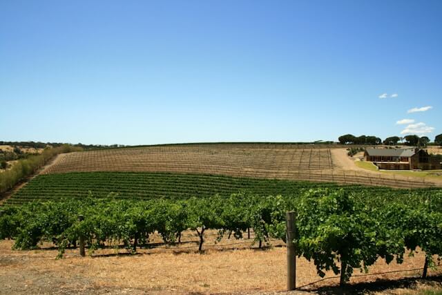 scenic vineyard tours